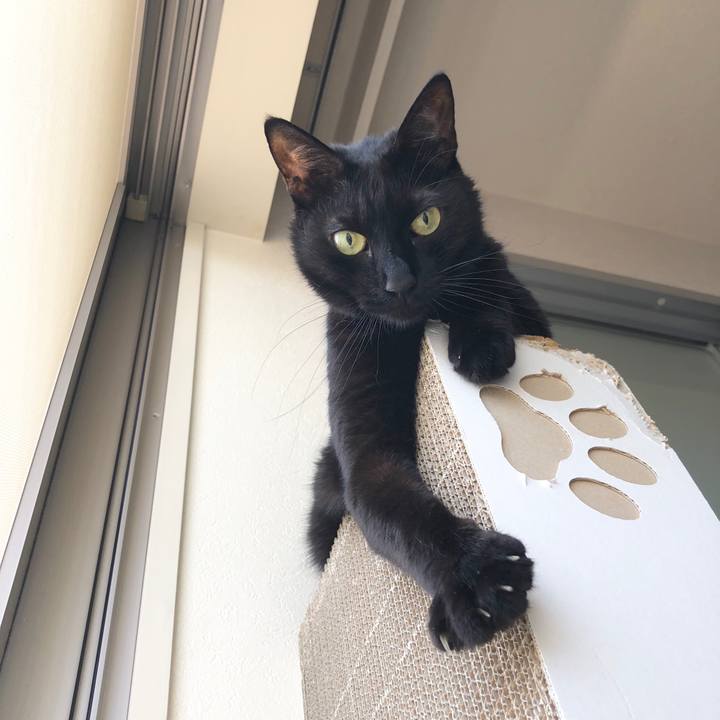 1a5ab5be 9867 41f0 a9e1 0ddf2574211f 1590805689742