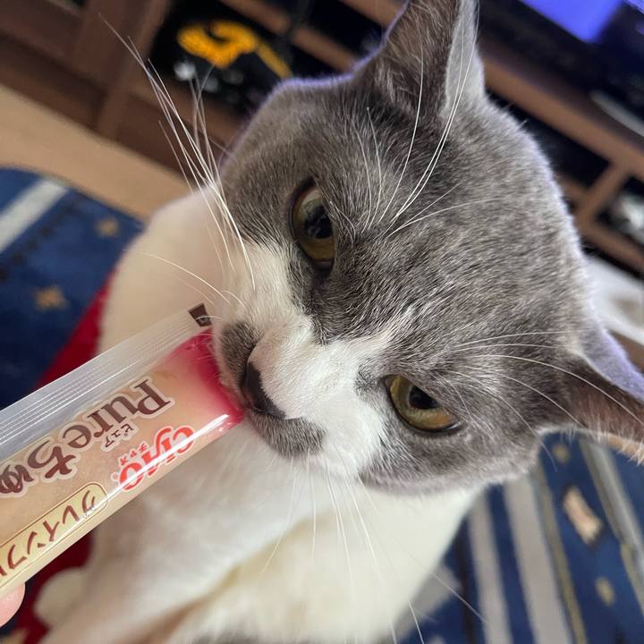 1a5ab652 7449 4d22 8b27 7771bb842ee4 1662279423380