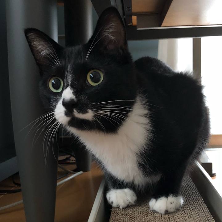 1a5acbd6 cc4c 4858 9fd9 5635d34b5a31 1537155885686