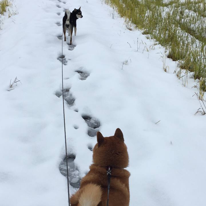 1a5ae1fa 1c6b 4212 b1aa 5c3fb0209503 1608298598270