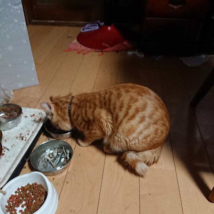 1a5af465 5956 4c43 993c 0cc66bfb6e4f 1642626288623