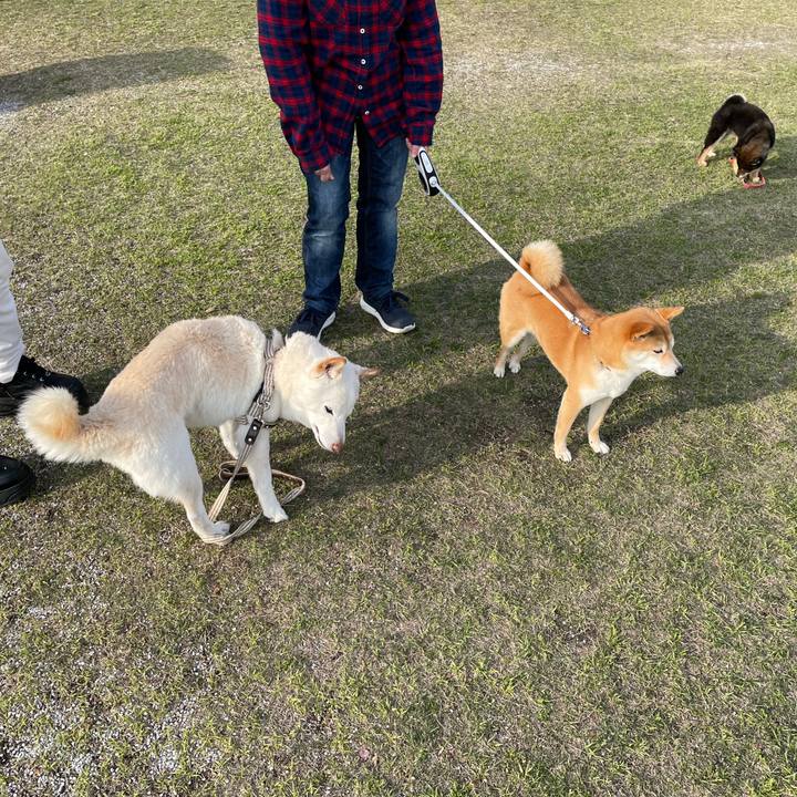 1a5b1ba8 aa46 47f6 91a3 73e1655081c4 1648464856332