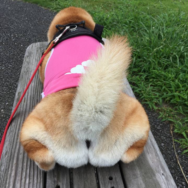 1a5b3be9 3eee 443e 861b 4a69ef7850b7 1595821960553