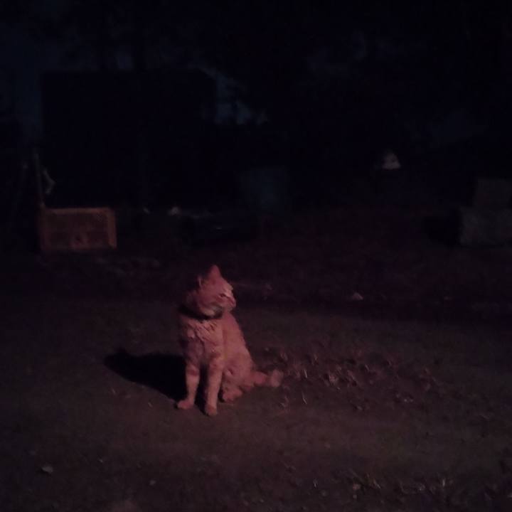 1a5b4d20 9301 4567 95a0 db90c123cdc5 1752064925786