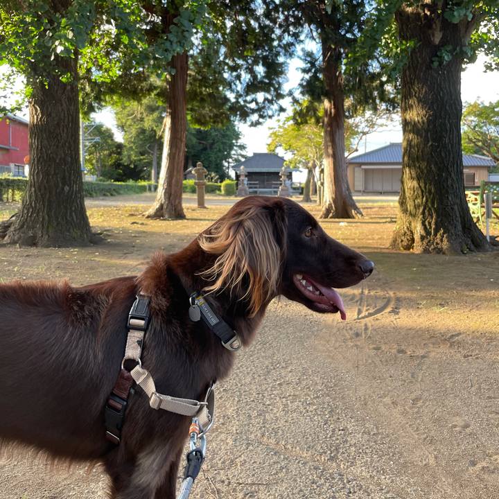 1a5bb6bd 7257 4097 a200 fe8c114ccb92 1628347431020