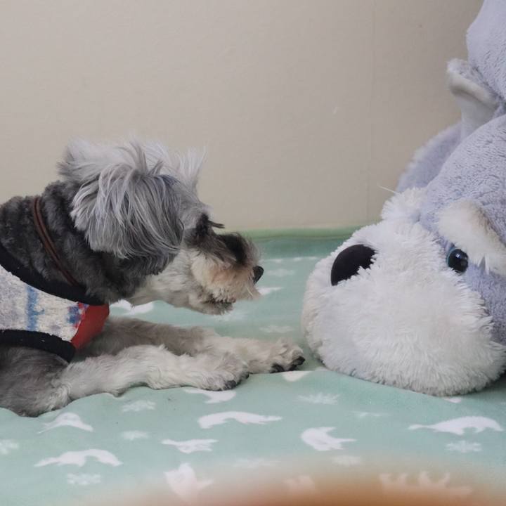 1a5bbc34 767f 47a0 83f8 d68fe5583c6d 1762134819037