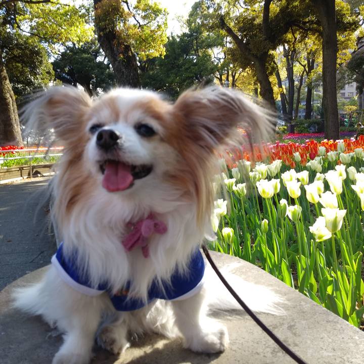 1a5beace 222b 447d ad7a d32292fd7df4 1555411230356