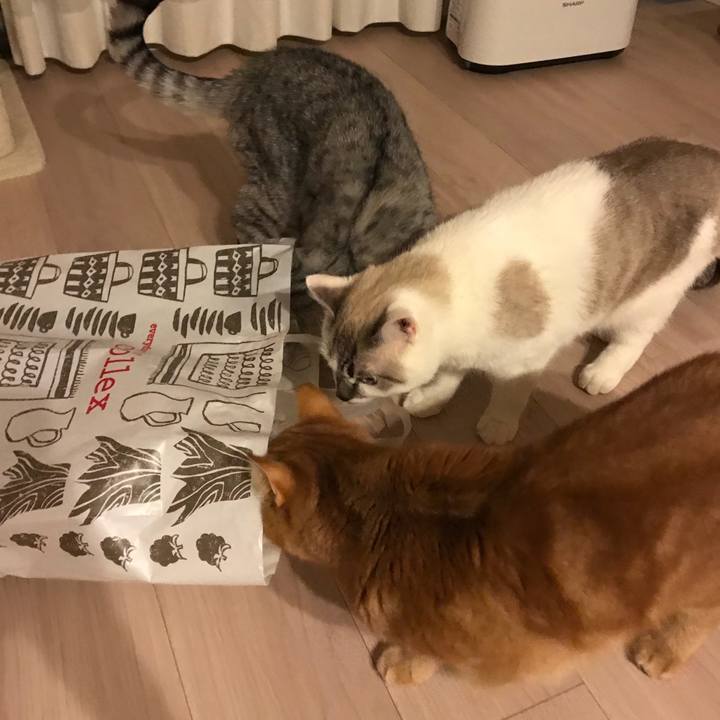 1a5c06ae d6ef 4964 8fa6 9c961c416ed4 1511781897920