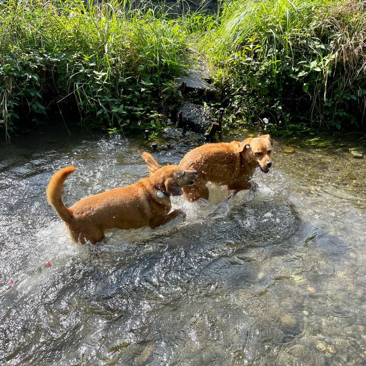 1a5c31b8 0df2 48fe 85ed 1a77c8bc4c68 1626763533690