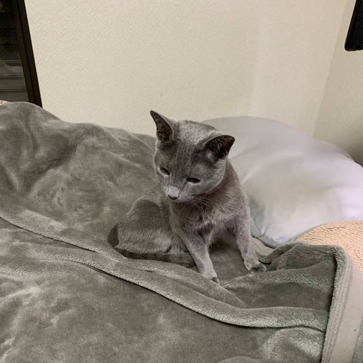 1a5c6aa4 c062 4d44 b732 f636de21a52f 1643525516330