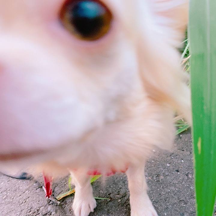 1a5c6fd3 6639 4808 aeb5 f3aebc036a59 1627292216002