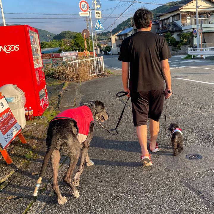 1a5cb7c2 2cfd 44f1 a501 f081018399f9 1658571273467