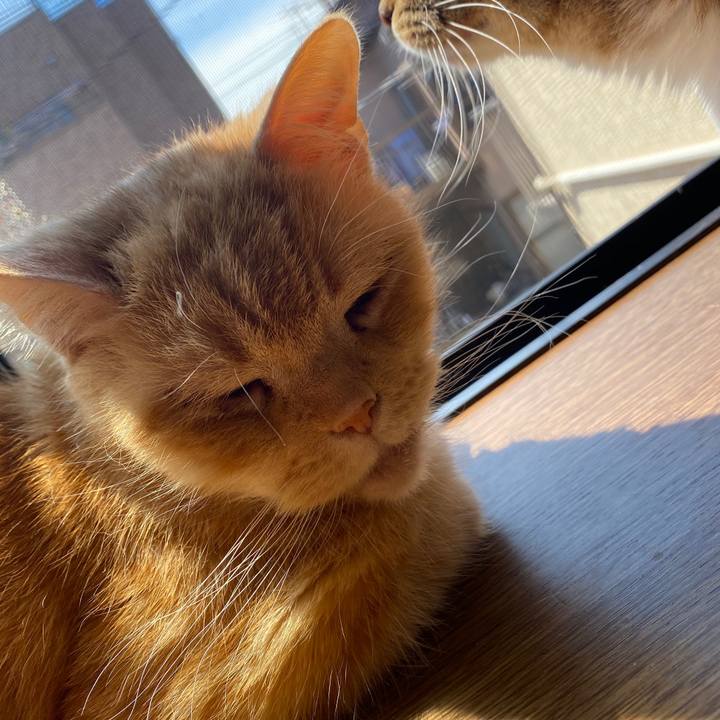 1a5ccfe1 dc99 4738 89b6 8d3c531878c9 1587607562488