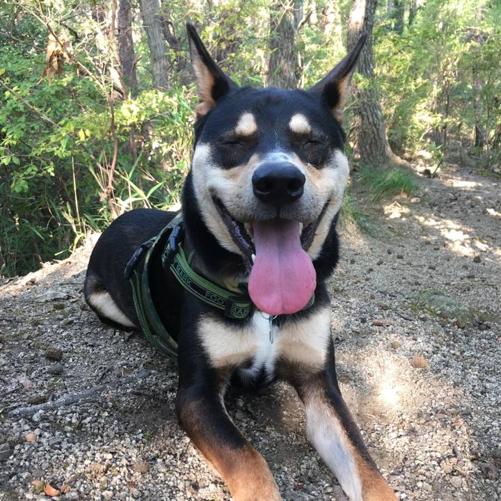 1a5cd14a 648f 478e 91e8 fee3df6212ce 1539744754790