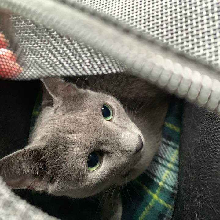 1a5d3ef3 64c6 4ff5 a779 a63b825b586d 1637465397456