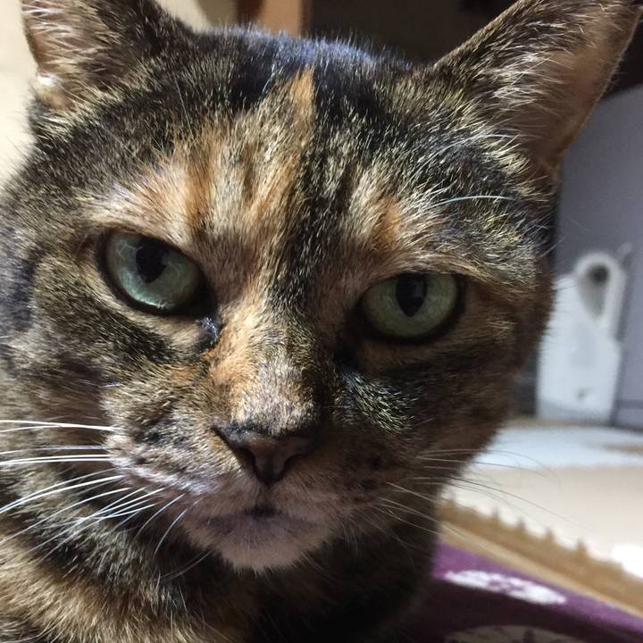 1a5d6cea 09cd 420f ba6b 6e99ebfabc56 1510056892371