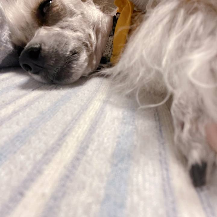 1a5d9dfd 9490 49b3 9061 5958b896bb20 1759639896536