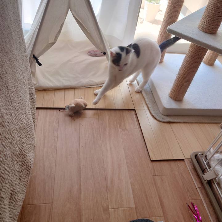 1a5dc658 1a12 426a 969b d4067f8566cf 1693020147499