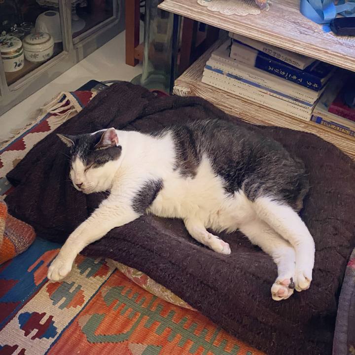 1a5dca12 1c7a 4444 a039 14ac8f060557 1587473396206