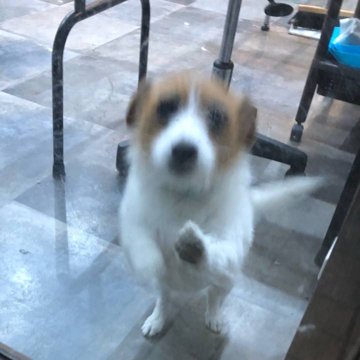 1a5e1515 d3f5 4486 9aee 4124b64f03ec 1572234388447