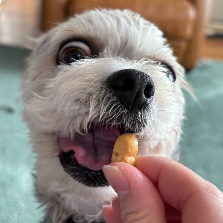 1a5e17a7 210d 467f 891e 13f9632884be 1770702352869