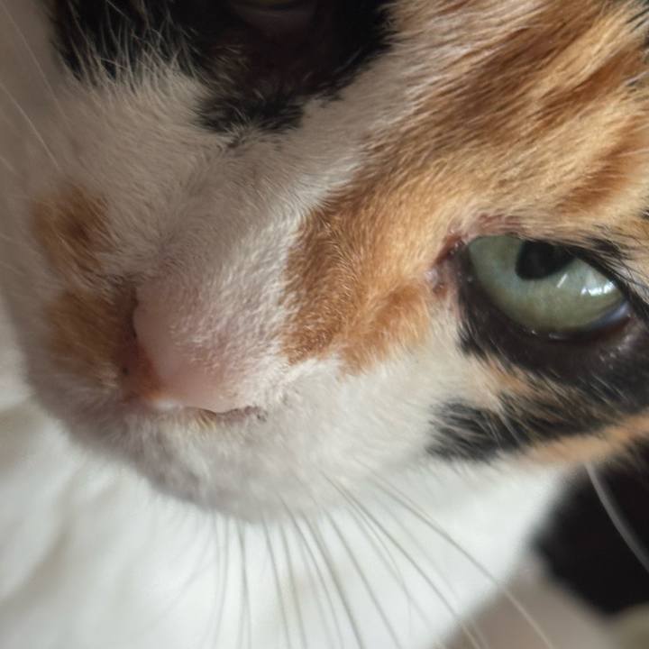 1a5e4e98 494c 40e9 be83 9503929073f7 1757921205115