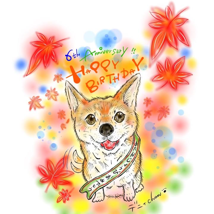 1a5e681e 2d24 4d40 a5f0 1e35d07ef002 1638226570807