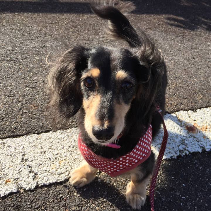 1a5e722b 3eba 476c a9fb b03930c2b94d 1543451064797