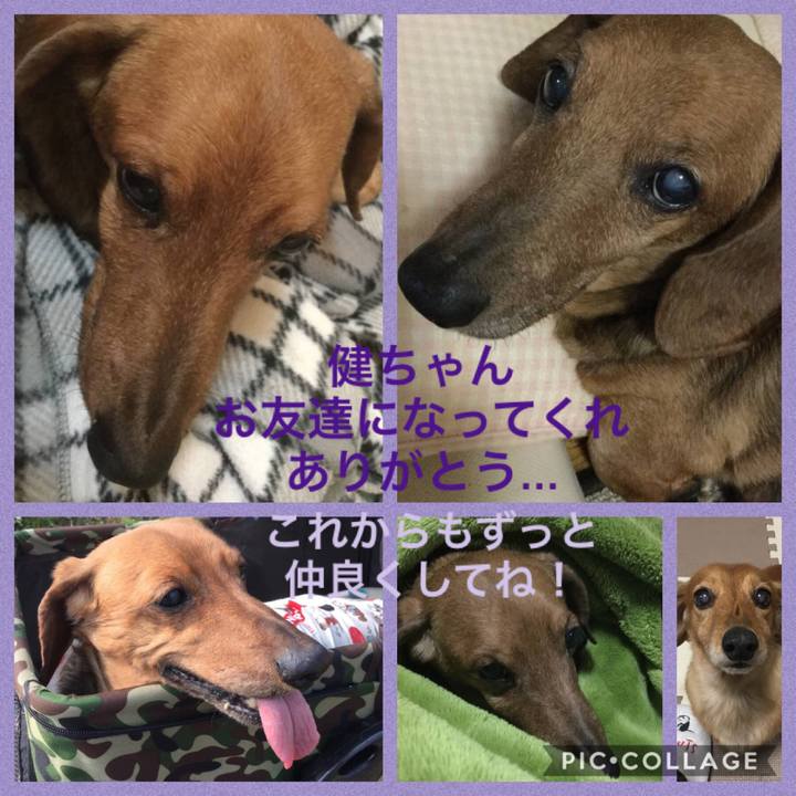 1a5e798b 08f0 4878 8b43 55b096b96e11 1580037850836