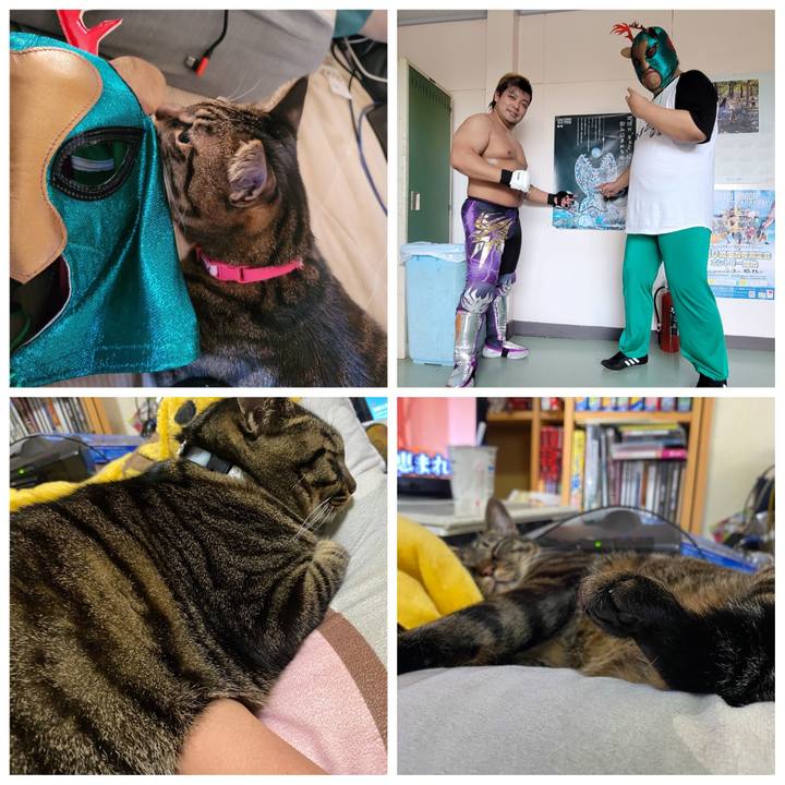 1a5e9021 8f2c 4ae2 b971 33a509519655 1636340656604