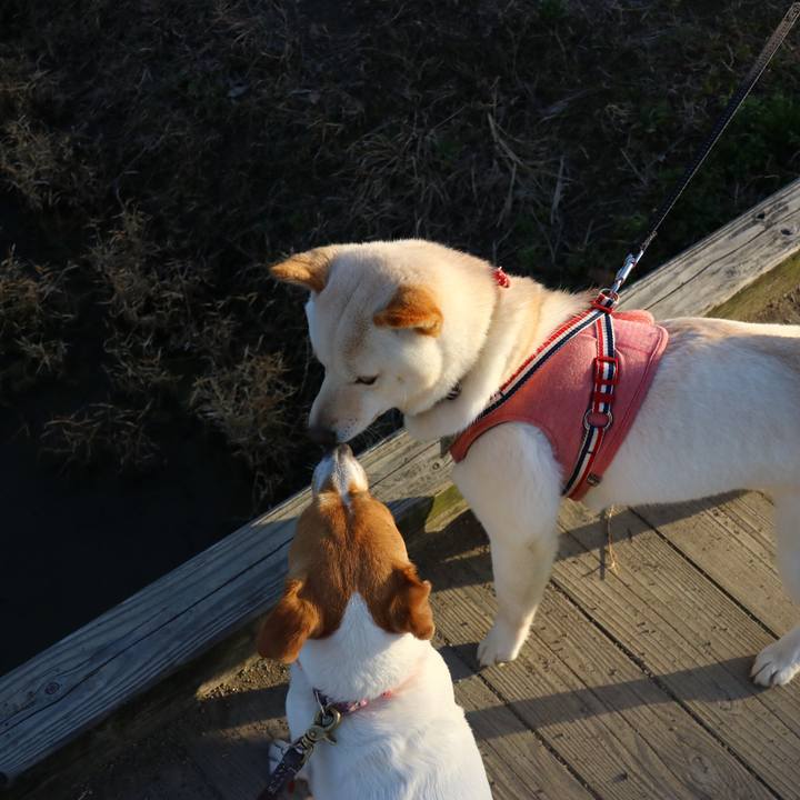 1a5e9cb7 bf7e 4af7 ac43 49dd04219053 1550649932679