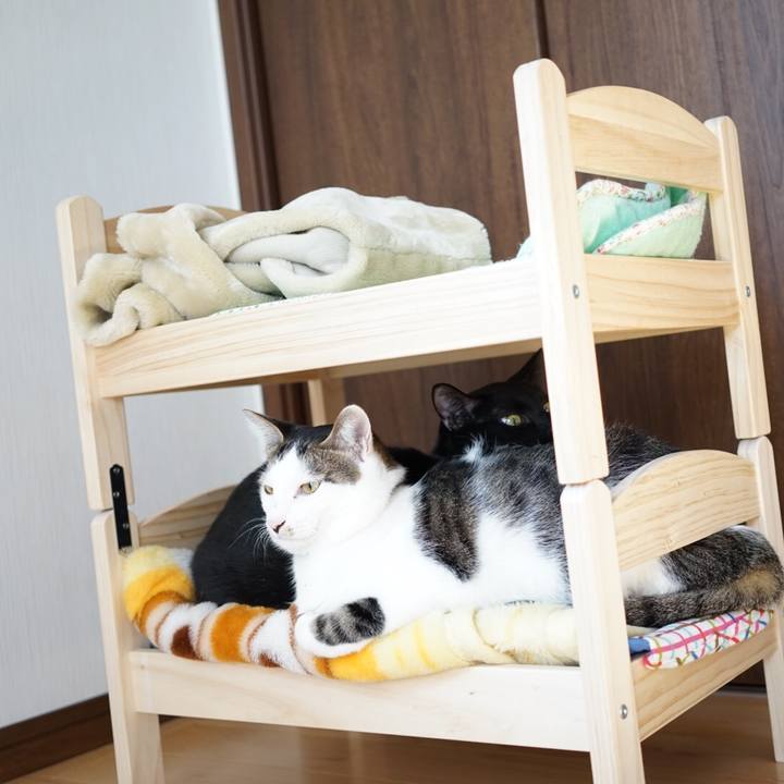 1a5ea2ca ce60 4925 b978 cf6305e63463 1512888062454