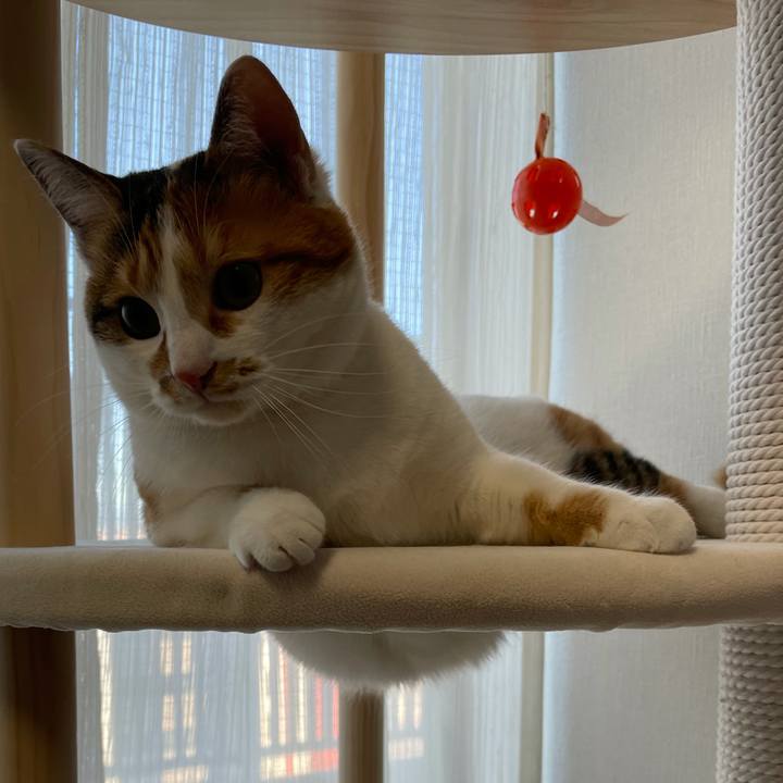 1a5ec40b d7fa 4e37 851a 82d2dc6bf2dc 1612481886362