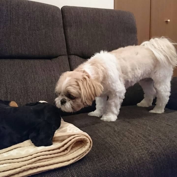 1a5ec712 7388 42b3 a41e 6f1cbf03f6ca 1556616012737