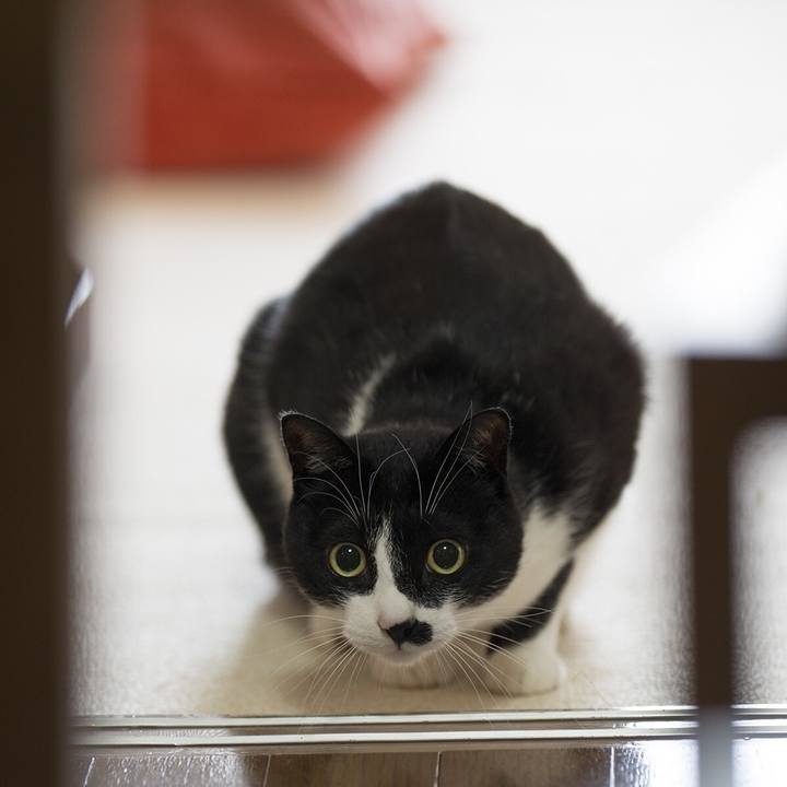 1a5ed1b8 6838 484c 88dc 04fa437a9857 1553849873168