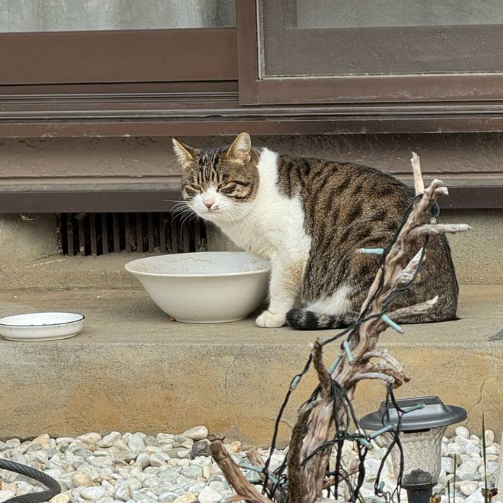 1a5efd87 d552 436f ad0e d612b15f1fec 1762828062356