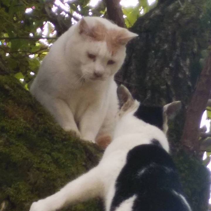 1a5f0c6c ea08 4fac a68f c03c90280982 1604653184938