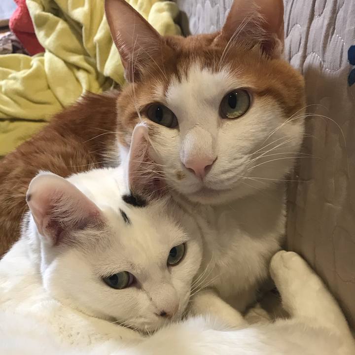 1a5f0efe d7b0 48c5 8c4d c6fb99ed08b5 1551534390138