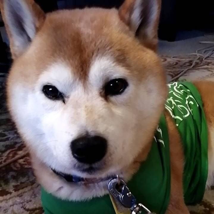 1a5f5c0d 6d88 4fe4 9eb0 b07f9e83b53f 1586477340164