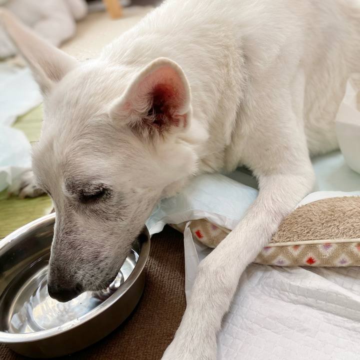 1a5fab30 dac9 487a a1b5 f46de90efd77 1672390719969