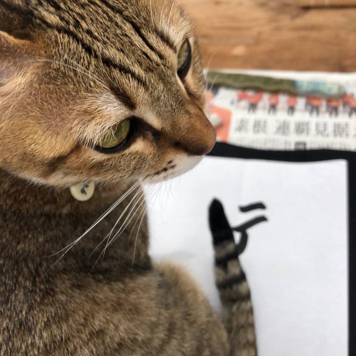 1a5fdf85 b5f5 44c9 9475 3d5adbaa8cae 1641447079196