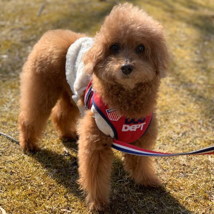 1a5fe414 a349 42f0 955e 48e6a9ef5826 1613487187082