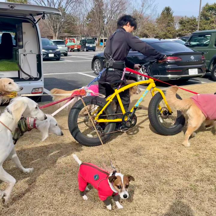 1a5febea 67f7 4542 97a5 9c229a522496 1739705759605