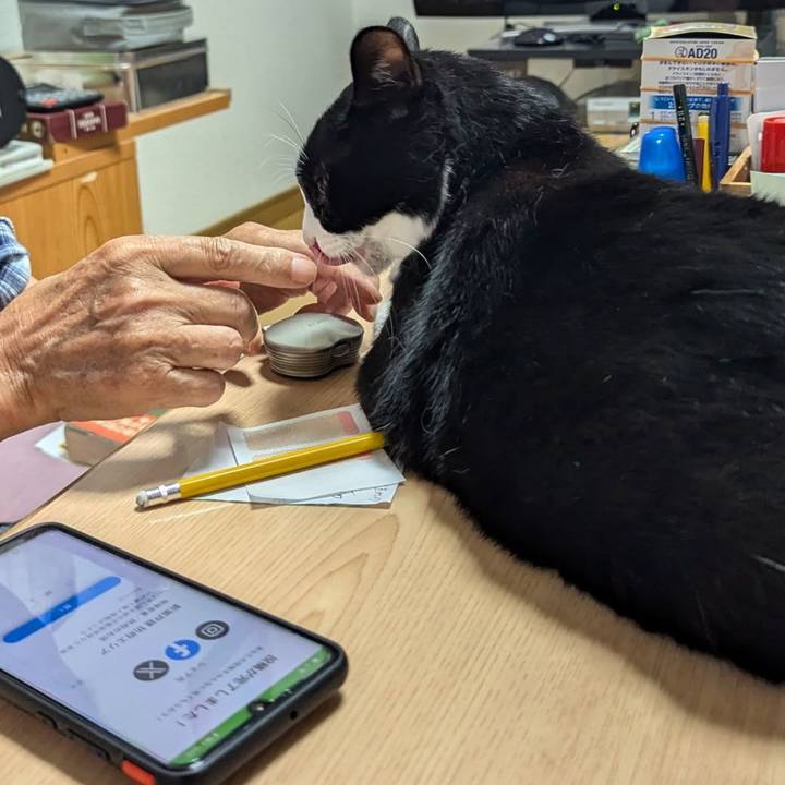 1a5fec45 617f 4355 9b6e 5a8e090f061d 1726741664897