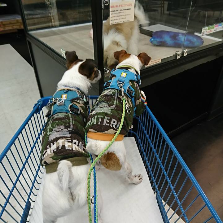 1a5feebc a128 48ee 99d0 3137a9160bca 1581412750114