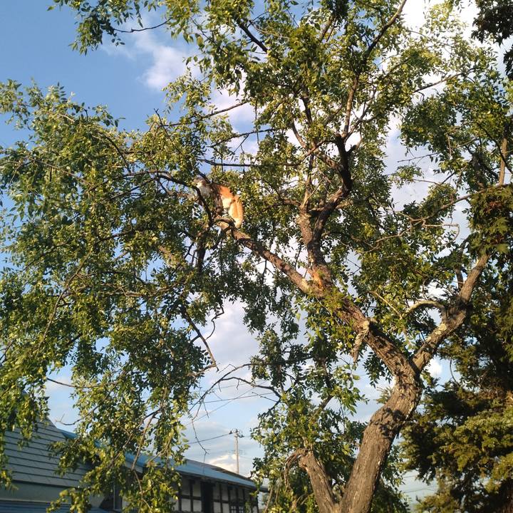 1a600d91 35f6 408a b981 9071bedf5490 1753781986713