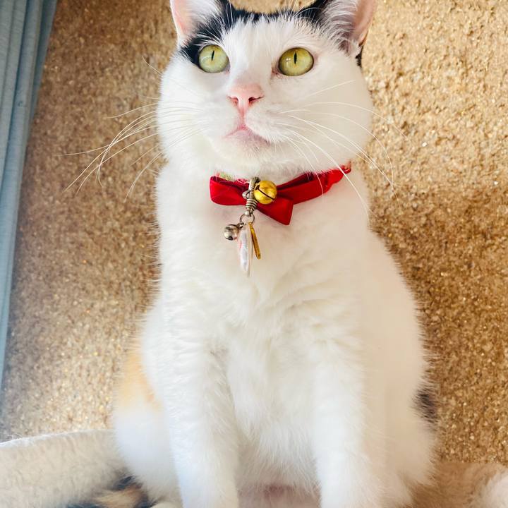 1a601410 361a 403c a017 b8934ad9d489 1752975364282