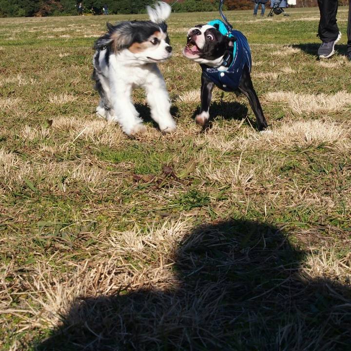 1a601aff e820 40df bda9 3480fbb462b0 1512799832896