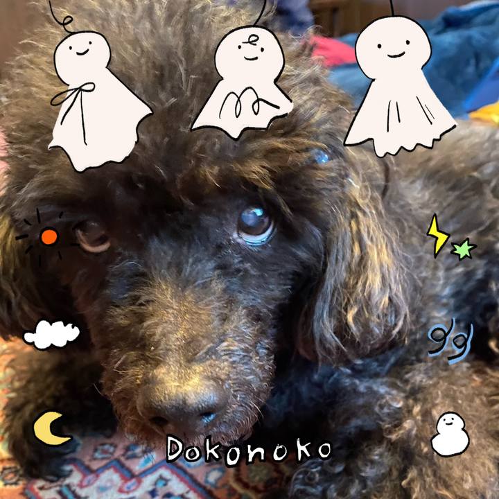 1a60256f 86b7 4b0d 9c59 ce0116418e3c 1749104806188