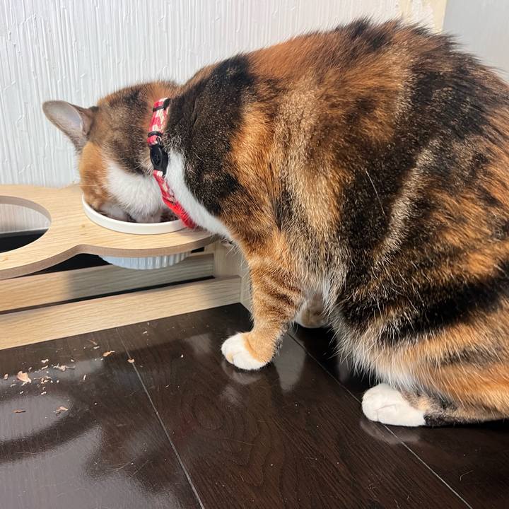 1a60325f 6421 4bd4 9f9b eb3e17738cf1 1767237250502